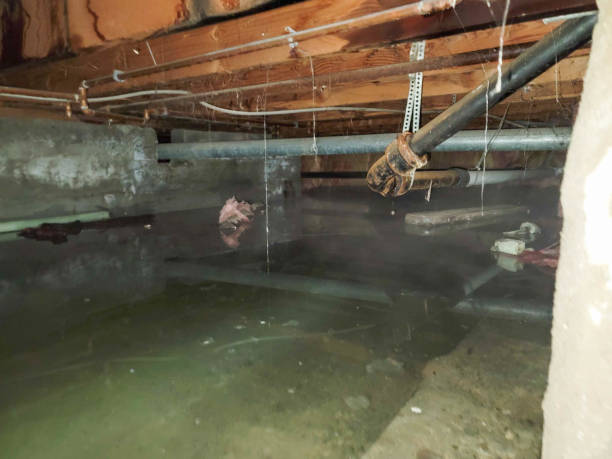 Best Sewage cleanup and water damage restoration  in Polson, MT