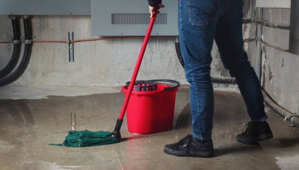 Best Carpet water damage restoration  in Polson, MT