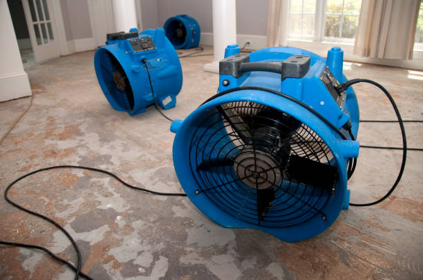 Best Ceiling water damage repair  in Polson, MT