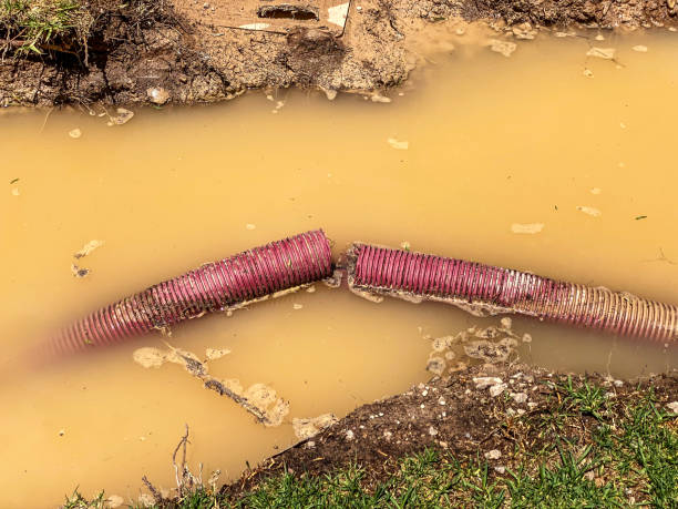 Best Water damage restoration near me  in Polson, MT