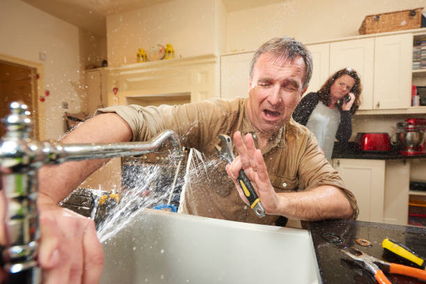 Best Flood damage cleanup  in Polson, MT